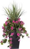 18-Arrangement-floral-Dracaena-Geranium-rose-CPARREXT22